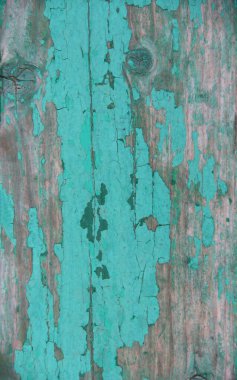 Çatlakları ve soyulmuş boyaları olan eski püskü yeşil bir ağaç.