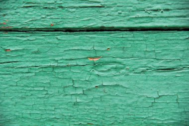 Çatlakları ve soyulmuş boyaları olan eski püskü yeşil bir ağaç.