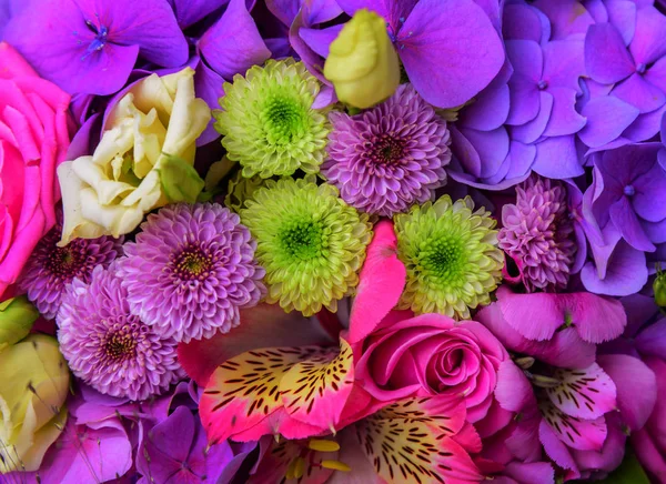 A bouquet of beautiful spring flowers. — Stock Photo, Image