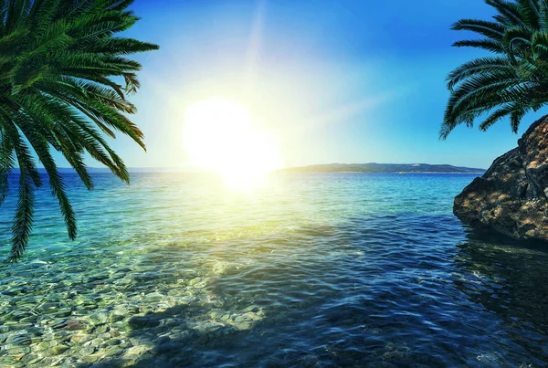 Bela paisagem da costa do mar ao pôr do sol com palmeiras . — Fotografia de Stock