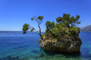 Şaşırtıcı görünümü Brela Beach, Dalmaçya, Hırvatistan.