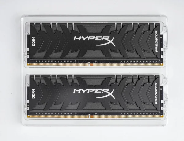 金士顿 ddr4 hyperx 捕食者黑色公羊在白色背景上. — 图库照片