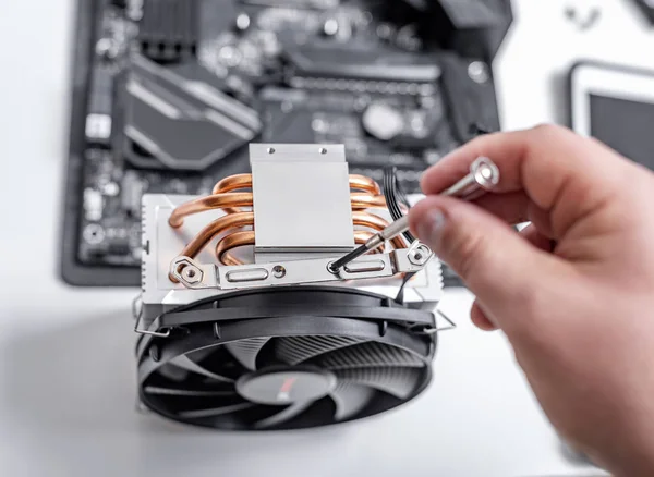 Installatie of reparatie van het luchtkoelsysteem van de PC-processor. — Stockfoto