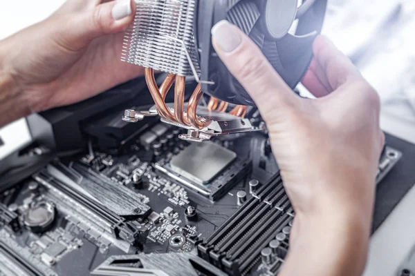 Instalación o reparación del sistema de refrigeración por aire del procesador de PC. — Foto de Stock