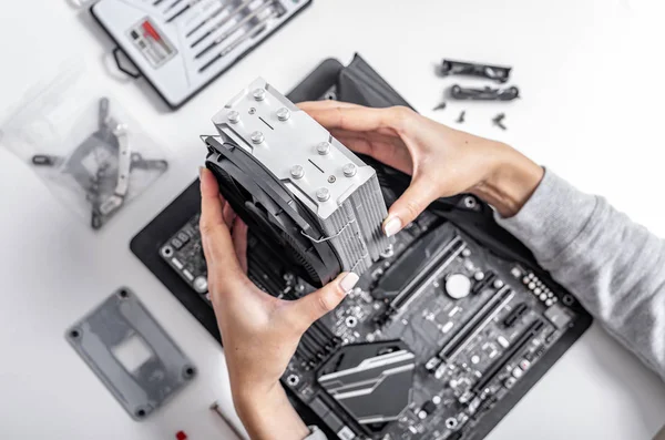 Installing or repair the air cooling system of the PC processor. — Stock Photo, Image