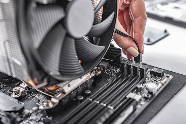 Installatie of reparatie van het luchtkoelsysteem van de PC-processor. — Stockfoto
