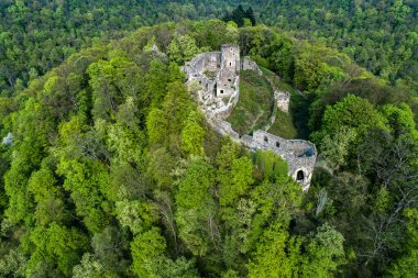 Ormanlarla kaplı bir dağdaki kalekalıntıları.