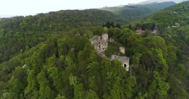 Ruins of the Nevitsky castl. — Stock Video