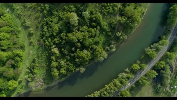 Estrada através da floresta ao longo do rio . — Vídeo de Stock