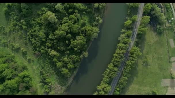 Шосе через ліс вздовж річки . — стокове відео