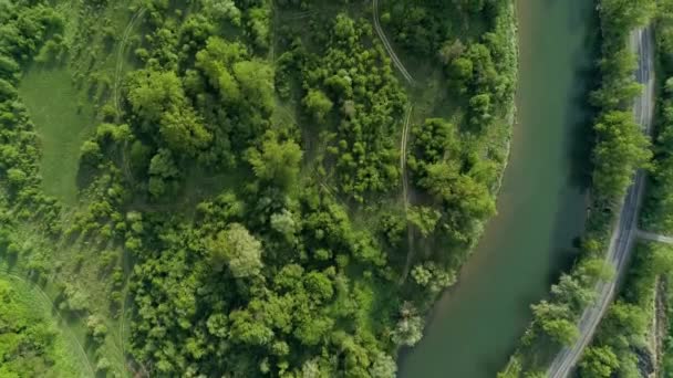 Autostrada attraverso la foresta lungo il fiume . — Video Stock