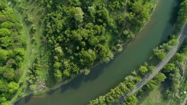 Estrada através da floresta ao longo do rio . — Vídeo de Stock