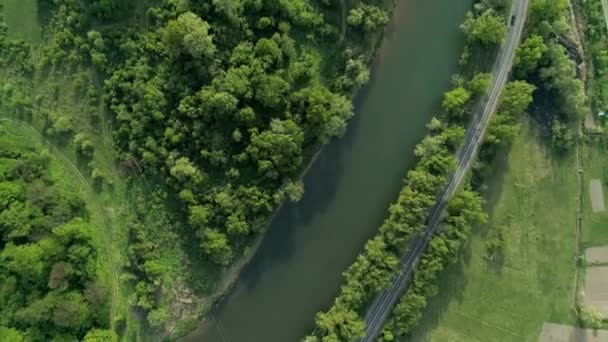 Autopista a través del bosque a lo largo del río . — Vídeos de Stock