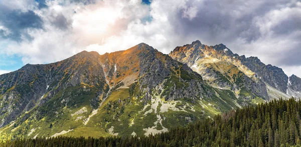 Berglandschaft. felsigen Bergen mit Nadelwald und Steinen bedeckt. — Stockfoto