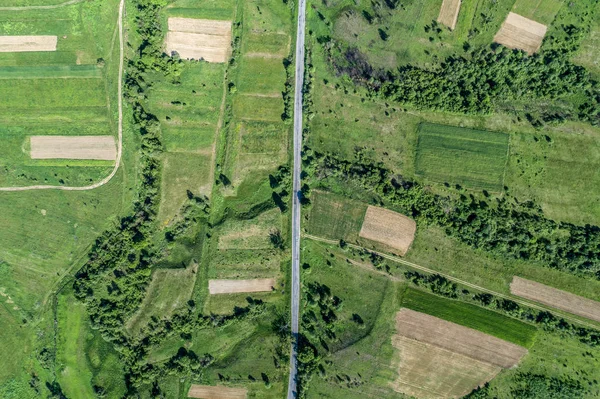 Widok z lotu ptaka na drogach i w lesie. Zdjęcie drona. — Zdjęcie stockowe