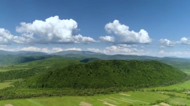 Dağlar yeşil orman ve nehirle kaplıydı. Karpatlar. Yukarıdan görüntüle.