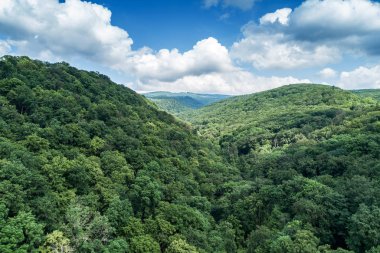 Dağlar yeşil orman ve nehirle kaplıydı. Karpatlar. Yukarıdan görüntüle.