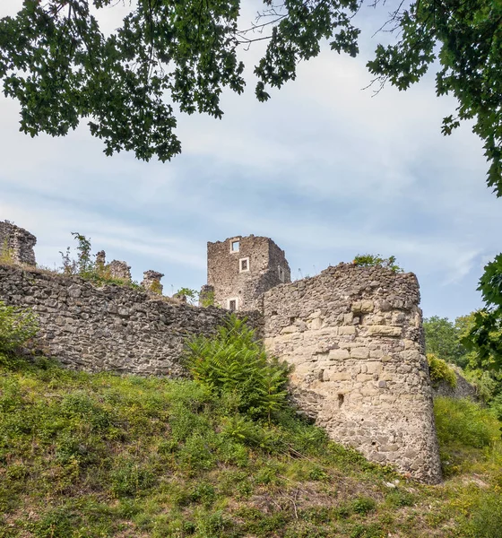 Las ruinas del castillo de Nevitsky . — Foto de Stock