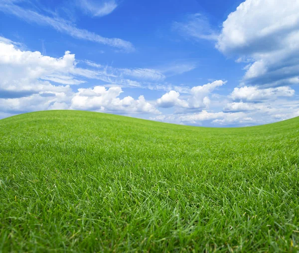 Grünes Feld gegen den blauen Himmel mit weißen Wolken. — Stockfoto