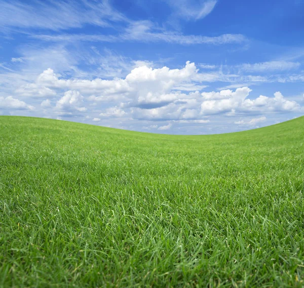 Groen veld tegen de blauwe hemel met witte wolken. — Stockfoto