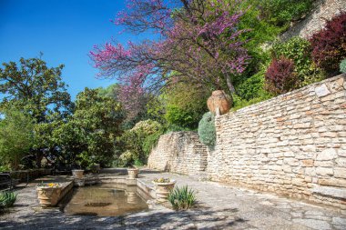 Bahçe, bahçe ve çiçek tarlaları.