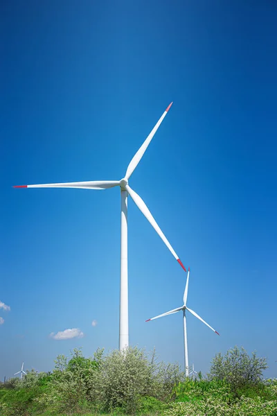 Windpark auf dem Feld — Stockfoto