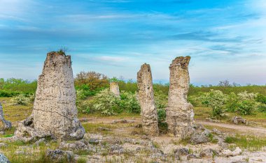 Kum tepeciğindeki taş bloklar