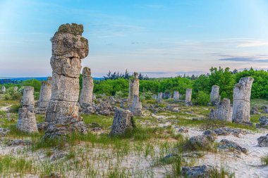 Kum tepeciğindeki taş bloklar
