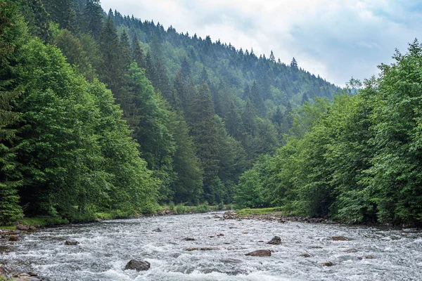 Gebirgsfluss im Hintergrund eines Waldes. — Stockfoto