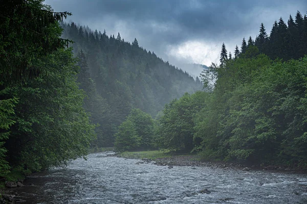 Gebirgsfluss im Hintergrund eines Waldes. — Stockfoto