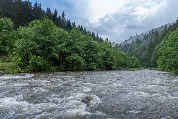Górska rzeka na tle lasu. — Zdjęcie stockowe