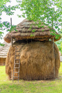 Kırsal kesimde saman yığını. Saman yapmak.