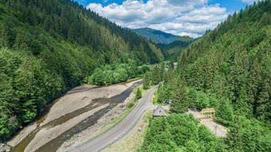 Dağlardaki ormanın arka planında nehrin üzerindeki otomobil köprüsü..