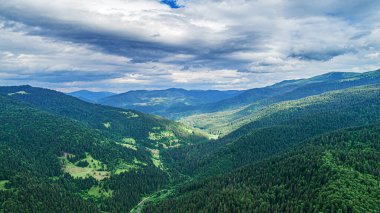 Arka planda güzel çam ağaçları yüksek dağlarda.