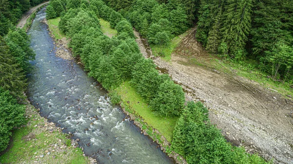 Las i rzeka z lotu ptaka. Zdjęcie z drona. — Zdjęcie stockowe