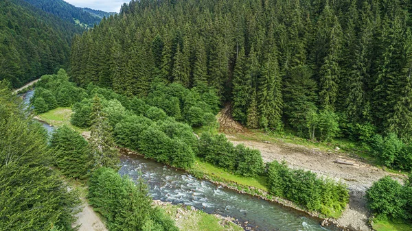 Bosque y río desde una vista de pájaro. Foto del dron. —  Fotos de Stock