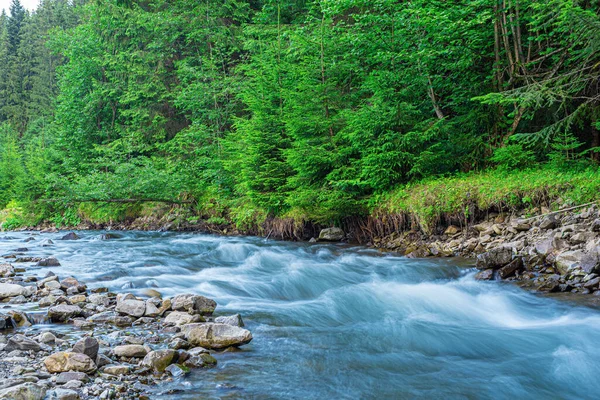 Rio de montanha no fundo de uma floresta. — Fotografia de Stock