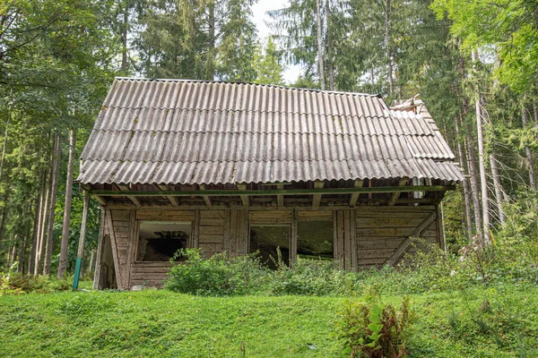 Abandonada casa velha na floresta — Fotografia de Stock