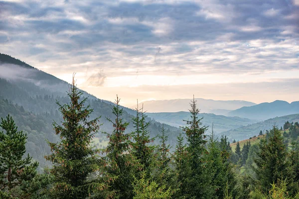 山と森の朝のパノラマ. — ストック写真