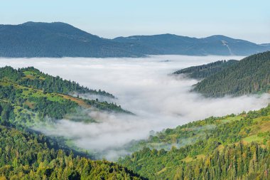 Dağ manzarası ve sisli vadi manzarası.