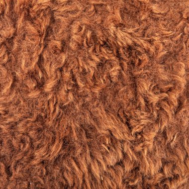 Soyut bir arkaplan olarak tüylü yün. Yün yakın plan.