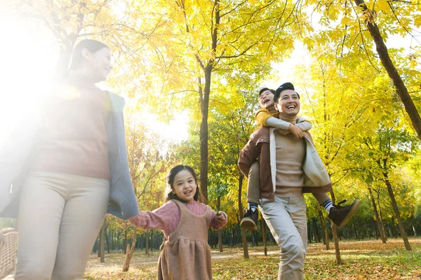 Bajo Ángulo Vista Feliz Joven Asiático Familia Con Picnic Cesta —  Fotos de Stock