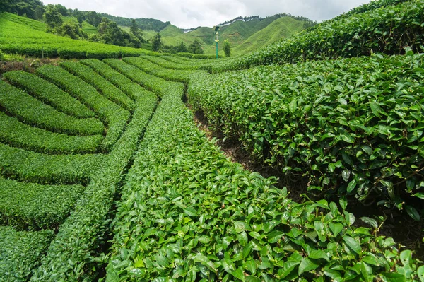 昼間は緑豊かな植生や美しい山々が連なり — ストック写真