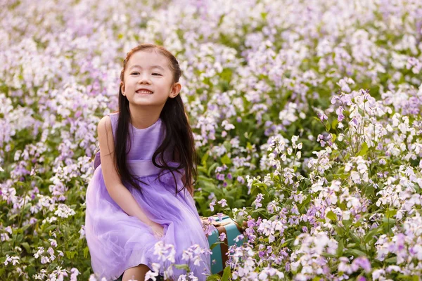Bedårande Asiatisk Unge Klänning Sitter Påsen Flower Field — Stockfoto