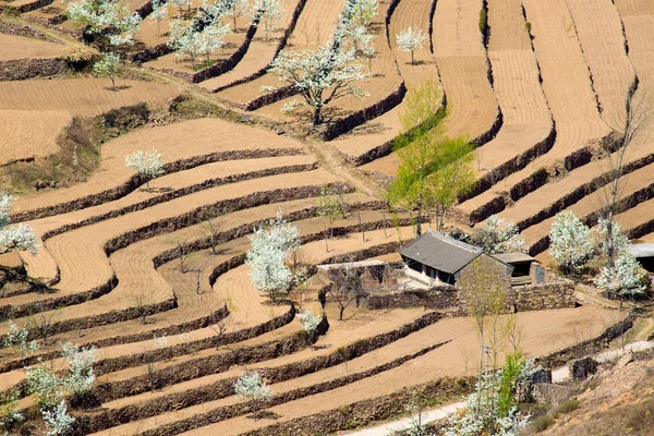 Aerial View Qinglong Terrace Qinhuangdao Hebei China — Stock Photo, Image