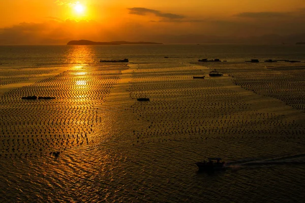 Vista Ángulo Alto Los Buques Puerto Atardecer Shenzhen China —  Fotos de Stock
