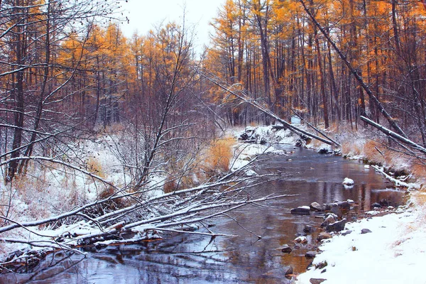 Beautiful Autumn Landscape Heilongjiang Province Greater Khingan Range China — Stock Photo, Image