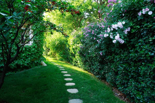 Decorative Pathway Beautiful Flowering Plants Private Villa — Stock Photo, Image