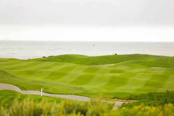 Amazing Green Lawn Golf Course Seascape Monterey Usa — Stock Photo, Image