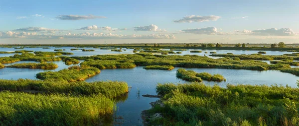 Heilongjiang Longfeng Feuchtgebiet Stadt Der Provinz Daqing — Stockfoto